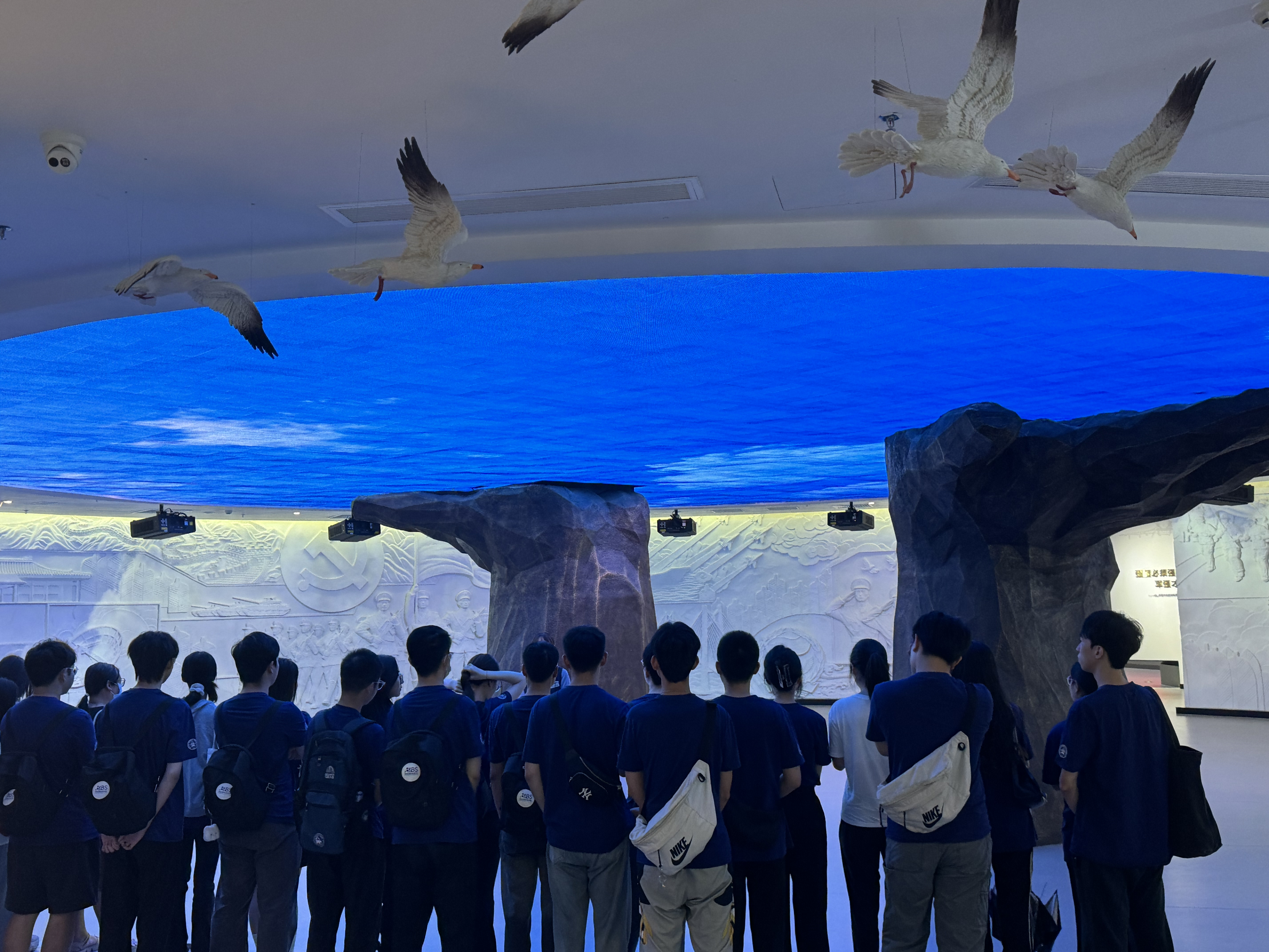 图片14(1).png